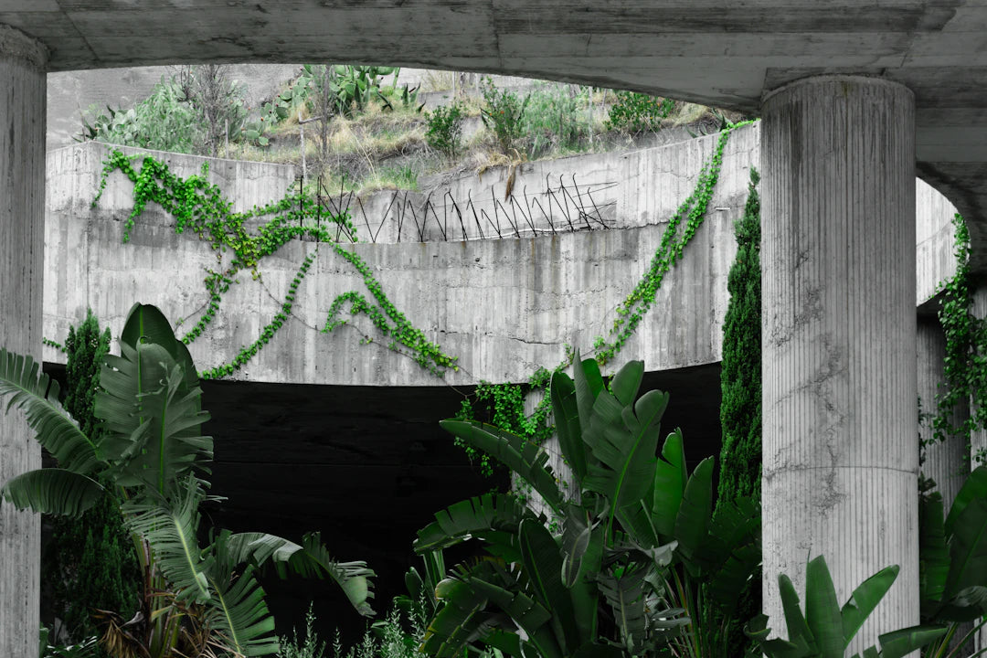 Revolutionizing Concrete Formwork Trends  Innovations
