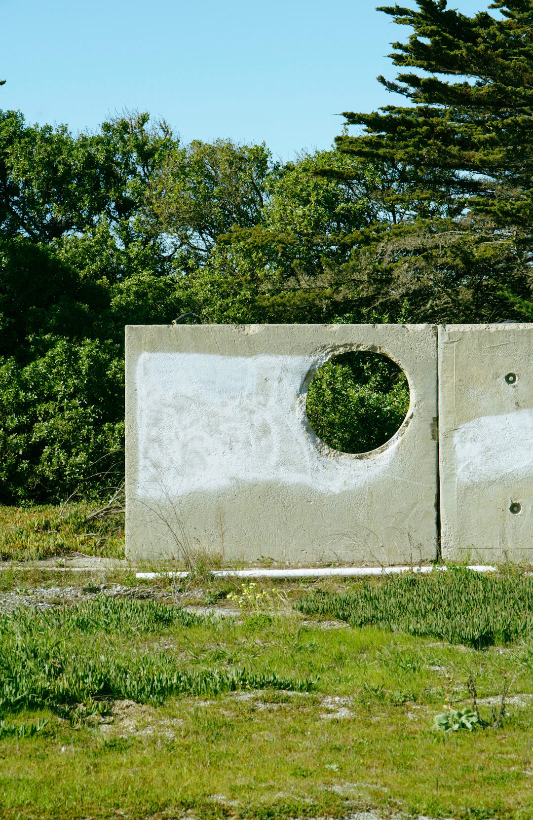 Eco-Friendly Ways to Recycle Used Concrete Formwork Plywood