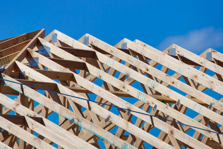 The Unsung Hero of Eco-Friendly Building: The Role of Plywood in Sustainable Construction