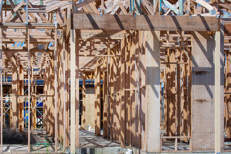 Discovering Plywood Lifespan in Construction