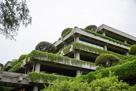 Concrete Formwork and Sustainability A Greener Future